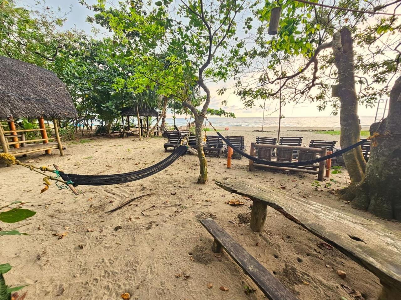 Big Bamboo Beach Resort Sipalay Eksteriør billede