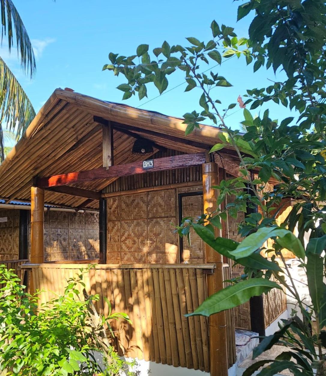 Big Bamboo Beach Resort Sipalay Eksteriør billede